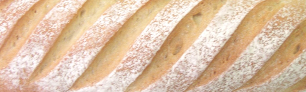 cropped white loaf landscape banner CIMG0423